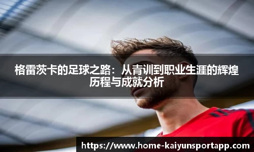 开云体育app