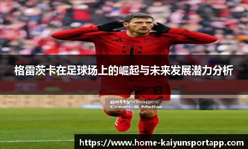 开云体育平台